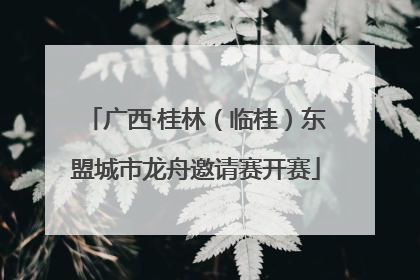 广西·桂林（临桂）东盟城市龙舟邀请赛开赛