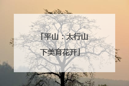 平山：太行山下美育花开