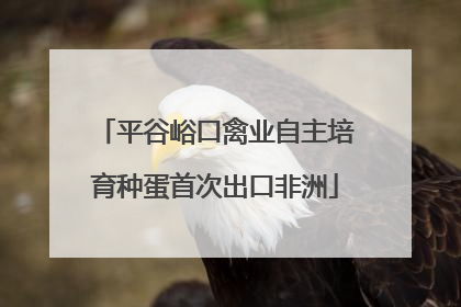平谷峪口禽业自主培育种蛋首次出口非洲