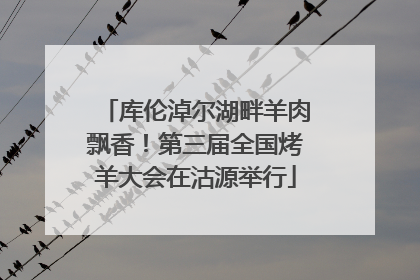 库伦淖尔湖畔羊肉飘香！第三届全国烤羊大会在沽源举行