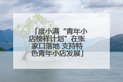 度小满“青年小店榜样计划”在张家口落地 支持特色青年小店发展