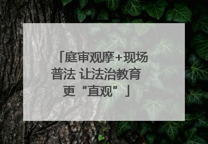 庭审观摩+现场普法 让法治教育更“直观”