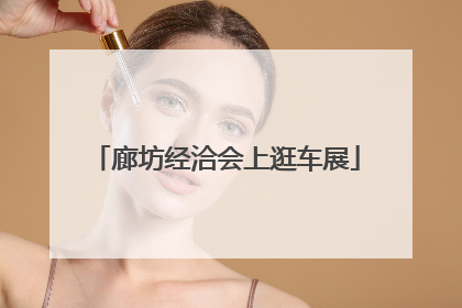 廊坊经洽会上逛车展