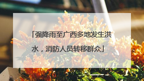 强降雨至广西多地发生洪水，消防人员转移群众