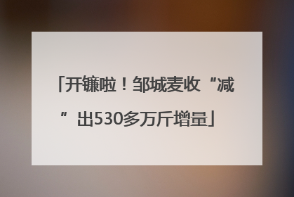 开镰啦！邹城麦收“减”出530多万斤增量