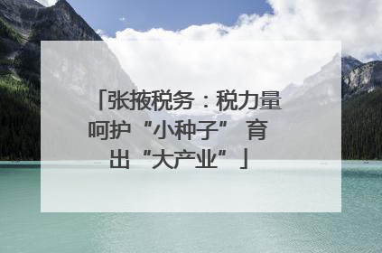 张掖税务：税力量呵护“小种子” 育出“大产业”