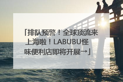 排队预警！全球顶流来上海啦！LABUBU怪味便利店即将开展→