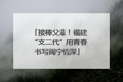 接棒父辈！福建“支二代”用青春书写闽宁情深