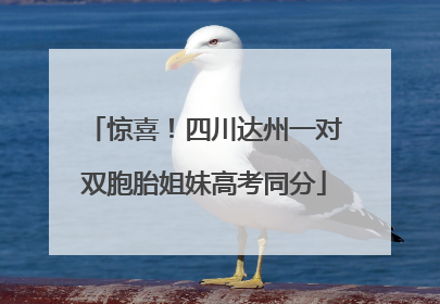 惊喜！四川达州一对双胞胎姐妹高考同分