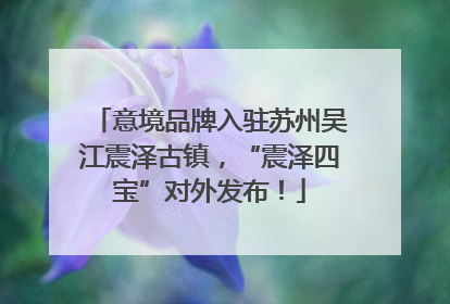 意境品牌入驻苏州吴江震泽古镇，“震泽四宝”对外发布！