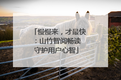 慢慢来，才最快：山竹智阅畅读 守护用户心智