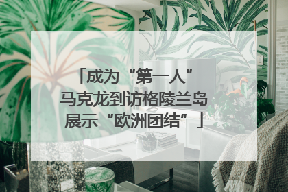 成为“第一人” 马克龙到访格陵兰岛展示“欧洲团结”