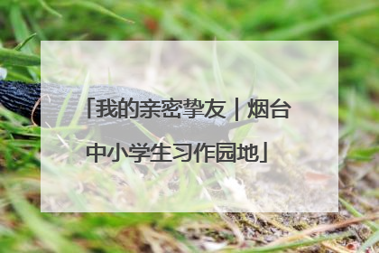 我的亲密挚友｜烟台中小学生习作园地