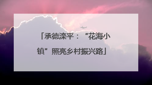 承德滦平：“花海小镇”照亮乡村振兴路