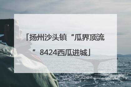 扬州沙头镇“瓜界顶流”8424西瓜进城