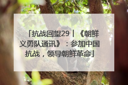 抗战回望29︱《朝鲜义勇队通讯》：参加中国抗战，领导朝鲜革命