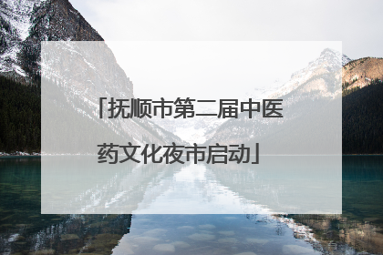 抚顺市第二届中医药文化夜市启动