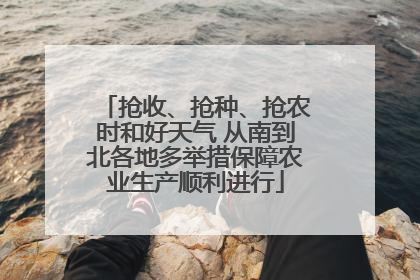 抢收、抢种、抢农时和好天气 从南到北各地多举措保障农业生产顺利进行