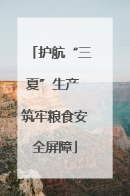 护航“三夏”生产 筑牢粮食安全屏障