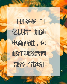 拼多多“千亿扶持”加速电商西进，包邮红利激活西部谷子市场