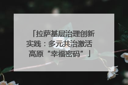 拉萨基层治理创新实践：多元共治激活高原“幸福密码”