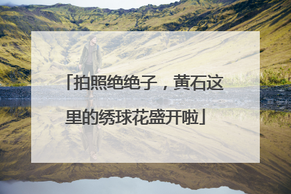 拍照绝绝子，黄石这里的绣球花盛开啦