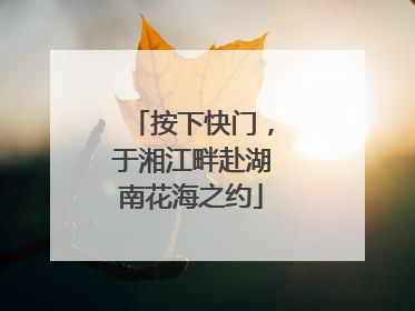 按下快门，于湘江畔赴湖南花海之约