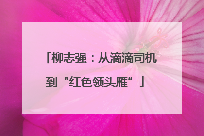 柳志强：从滴滴司机到“红色领头雁”