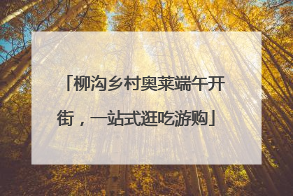 柳沟乡村奥莱端午开街，一站式逛吃游购