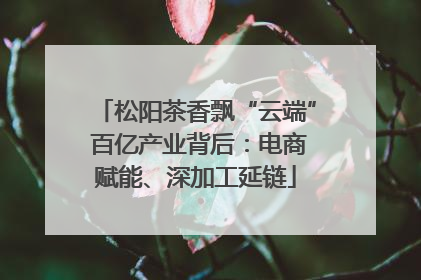 松阳茶香飘“云端” 百亿产业背后：电商赋能、深加工延链