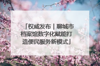 权威发布｜聊城市档案馆数字化赋能打造便民服务新模式