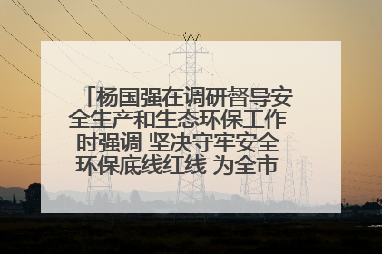 杨国强在调研督导安全生产和生态环保工作时强调 坚决守牢安全环保底线红线 为全市经济社会高质量发展提供坚强保障