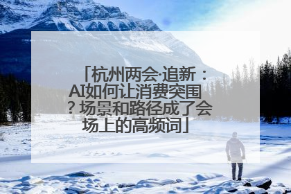 杭州两会·追新：AI如何让消费突围？场景和路径成了会场上的高频词