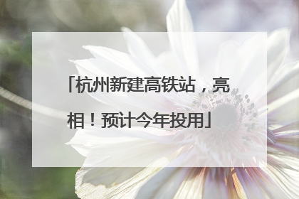 杭州新建高铁站，亮相！预计今年投用