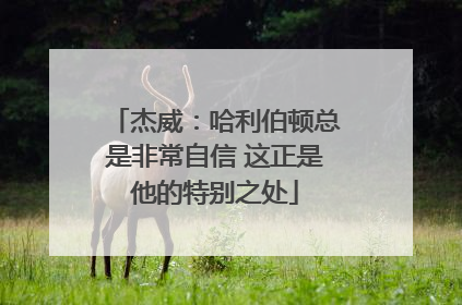杰威：哈利伯顿总是非常自信 这正是他的特别之处