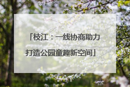 枝江：一线协商助力打造公园童趣新空间