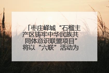 枣庄峄城“石榴主产区铸牢中华民族共同体意识联盟项目”将以“六联”活动为抓手深化品牌建设