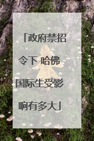 政府禁招令下 哈佛国际生受影响有多大