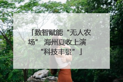 数智赋能“无人农场” 海州夏收上演“科技丰景”