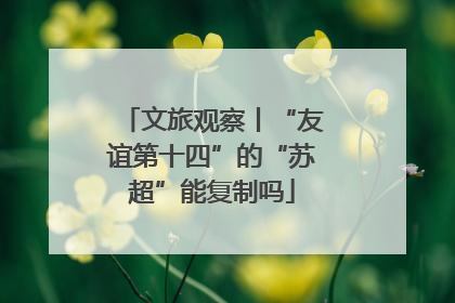 文旅观察丨“友谊第十四”的“苏超”能复制吗