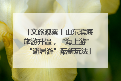 文旅观察丨山东滨海旅游升温，“海上游”“避暑游”酝新玩法