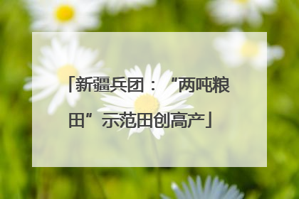 新疆兵团：“两吨粮田”示范田创高产