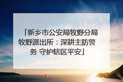 新乡市公安局牧野分局牧野派出所：深耕主防警务 守护辖区平安