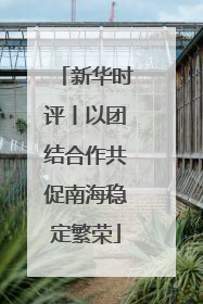 新华时评丨以团结合作共促南海稳定繁荣