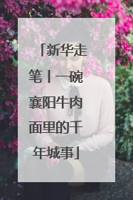 新华走笔丨一碗襄阳牛肉面里的千年城事