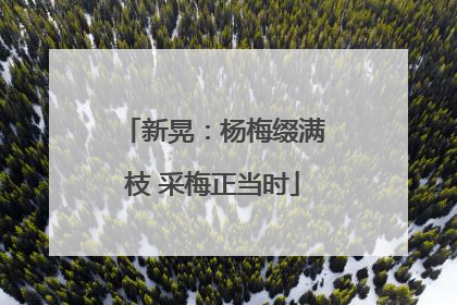 新晃：杨梅缀满枝 采梅正当时