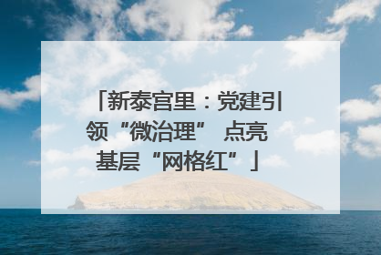 新泰宫里：党建引领“微治理” 点亮基层“网格红”