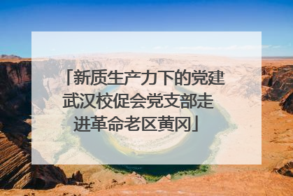 新质生产力下的党建 武汉校促会党支部走进革命老区黄冈