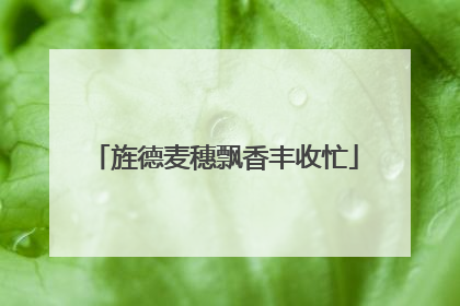 旌德麦穗飘香丰收忙