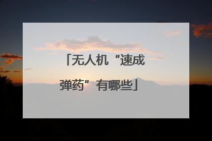 无人机“速成弹药”有哪些